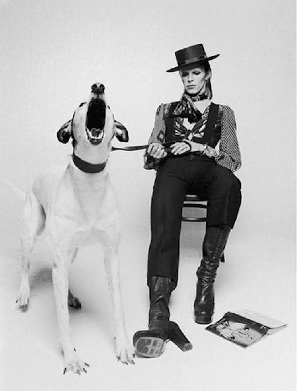 David Bowie, @Terry O'Neill, 1974