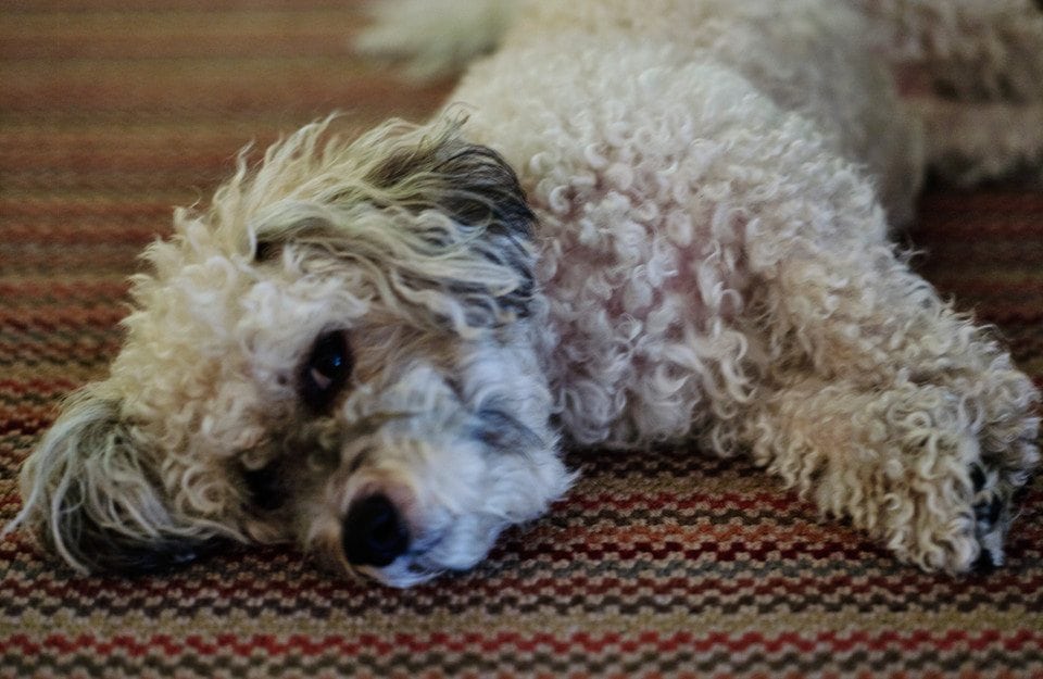 “WHAT IS IT ABOUT THE AGE YOU ARE NOW THAT HAS SECRETS TO TELL YOU?"