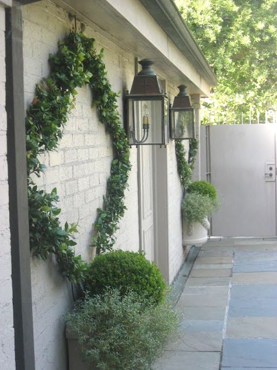 Espalier Vines add character