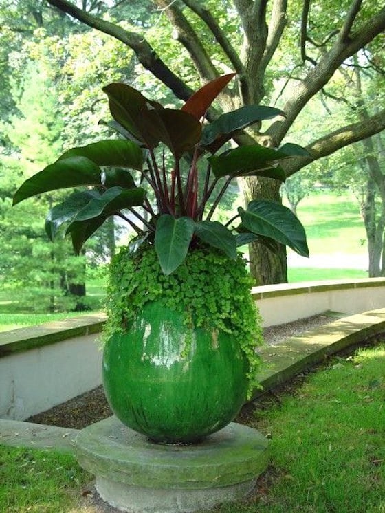 Gorgeous Statement Planters | This green pot is stunning! 